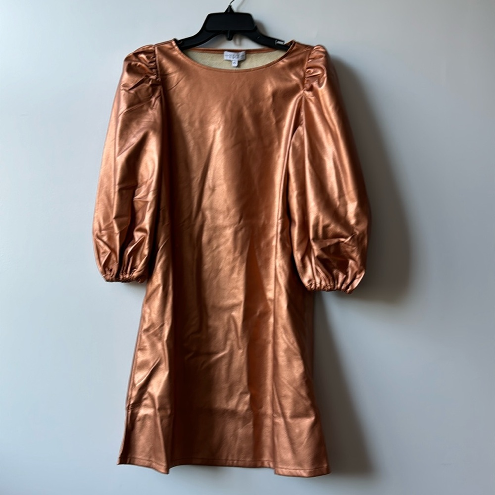 NWT S’edge Collette Dress in Copper Sz XS
